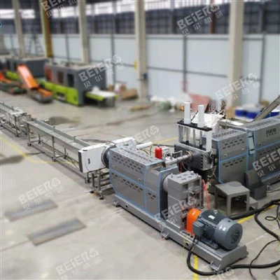 প্লাস্টিক ফ্লেক পেলেটাইজিং মেশিন